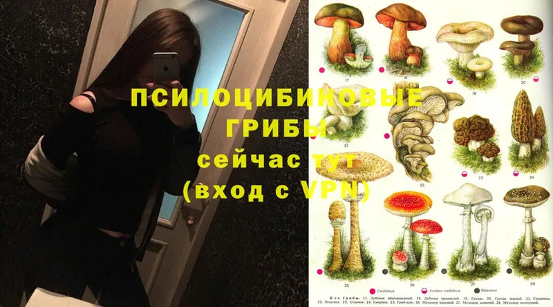 Псилоцибиновые грибы Magic Shrooms  Емва 